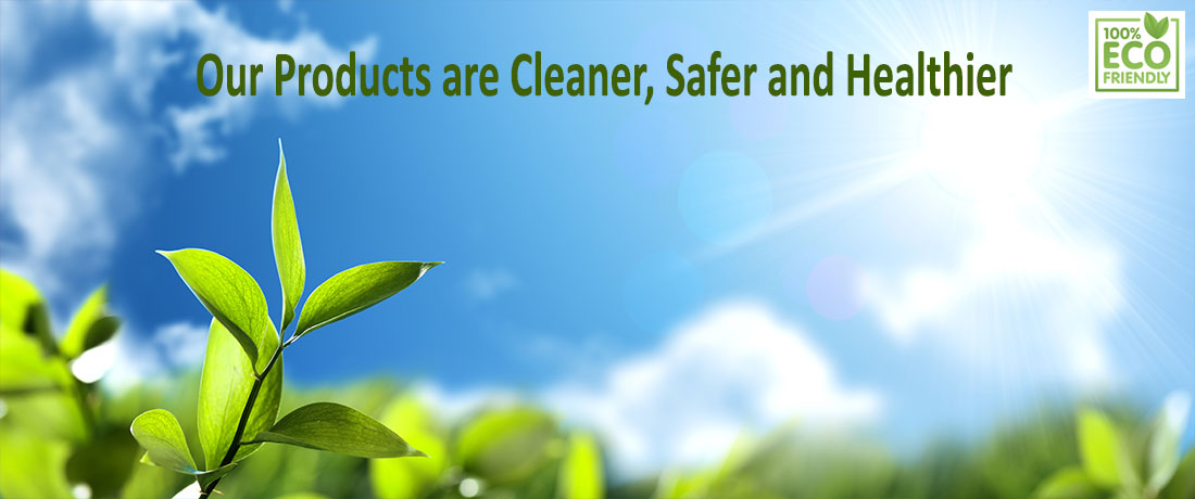 Environmentally Friendly Cleaning Products